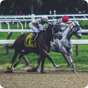 Horse racing field mid-race, used for Australian bookmaker signup offers
